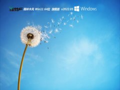 ľv2022.05win11 64λϷİ