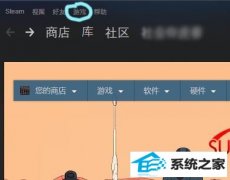 steam keyã