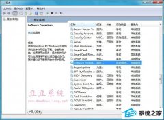 win10ϵͳsoftware protectionҲ